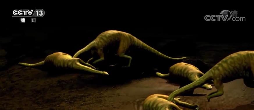 一眼穿越亿万年 重返侏罗纪 |“禄丰恐龙头朝东方”之谜的图片 -第6张