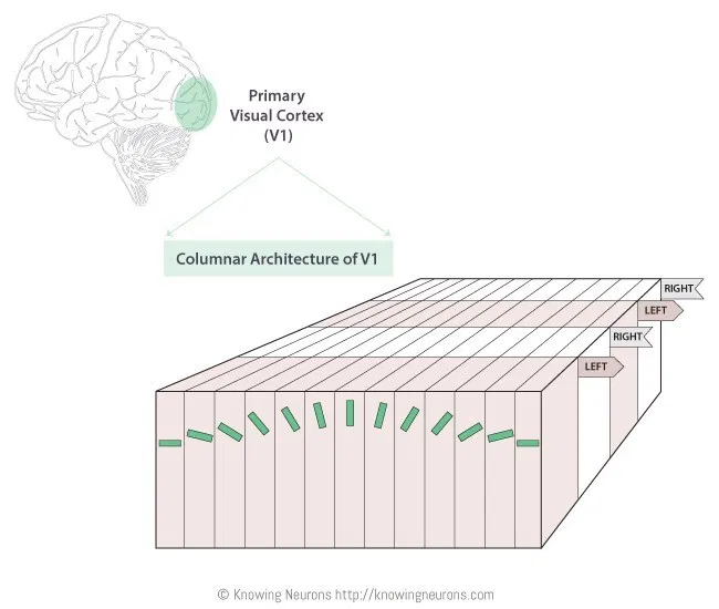 都是为了“让计算机变智能”，这两个派系却一斗 60 年
