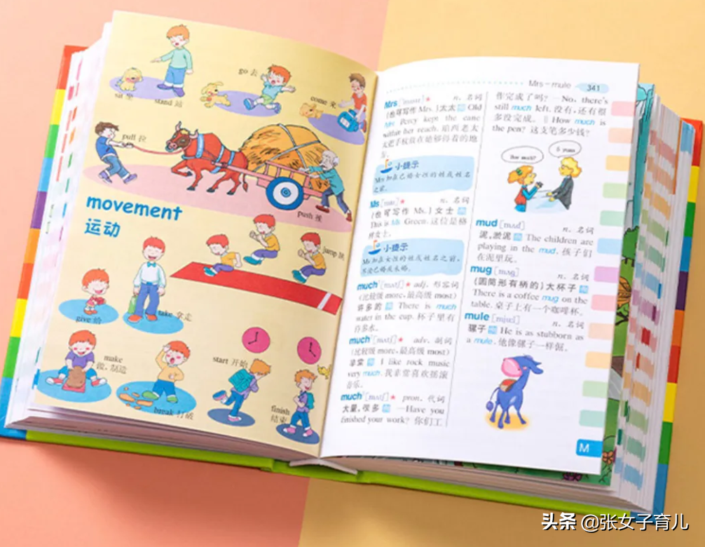 送学生家长的实用礼物排行（适合小学生的礼物）