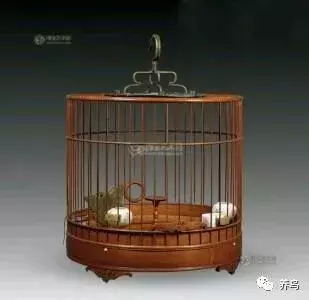 养鸟的种类与笼具的选取