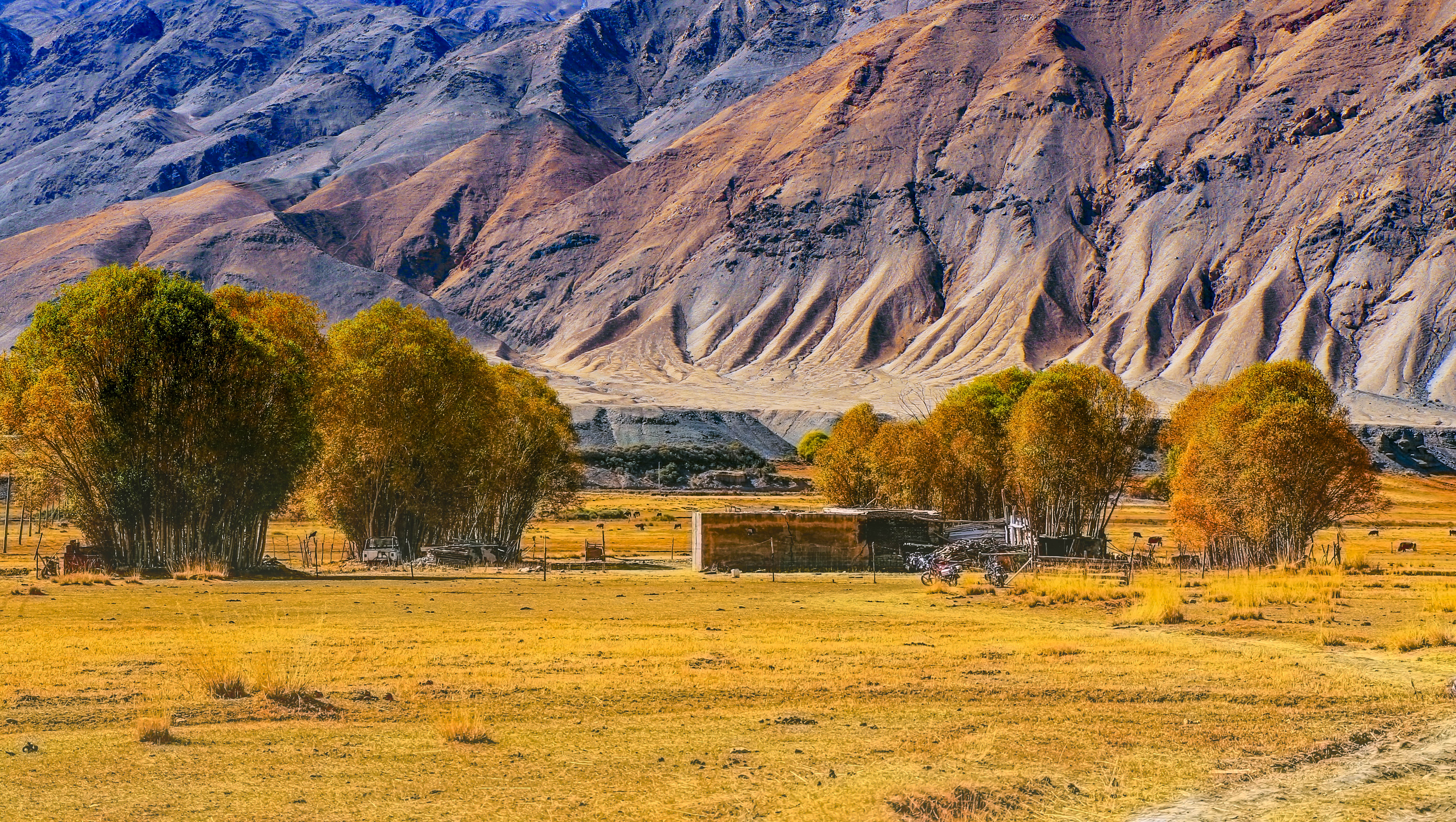 帕米尔高原秋季风景大赏|淳朴坎尔洋