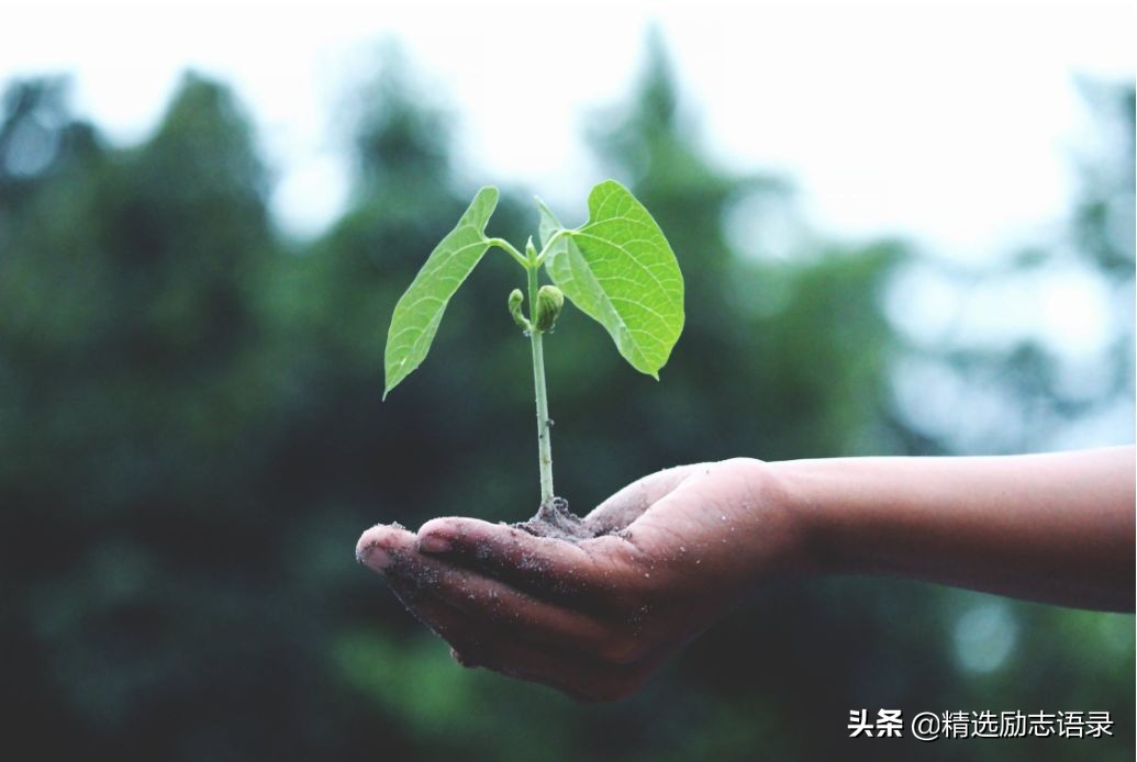 一生很短，一生很长，一生简单，一生艰难…