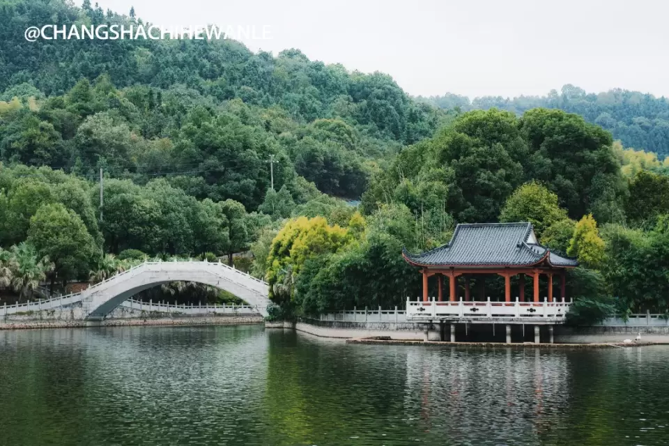 “超级飞侠-丛林大冒险”空降盘龙大观园,你要的快乐都在这儿
