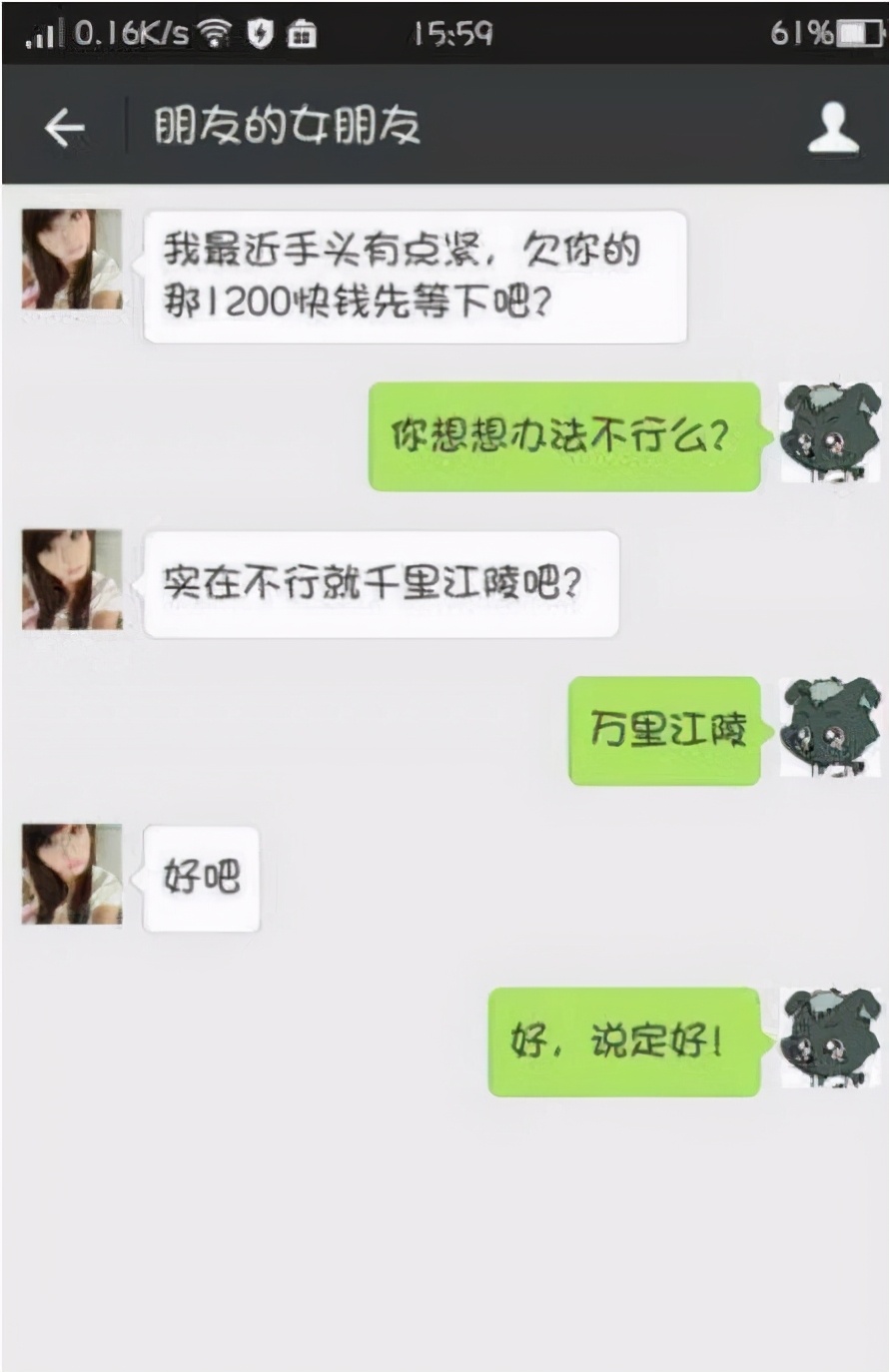 爆笑gif：狗大妈，你的菜是要钱呢，还是用狗粮换啊