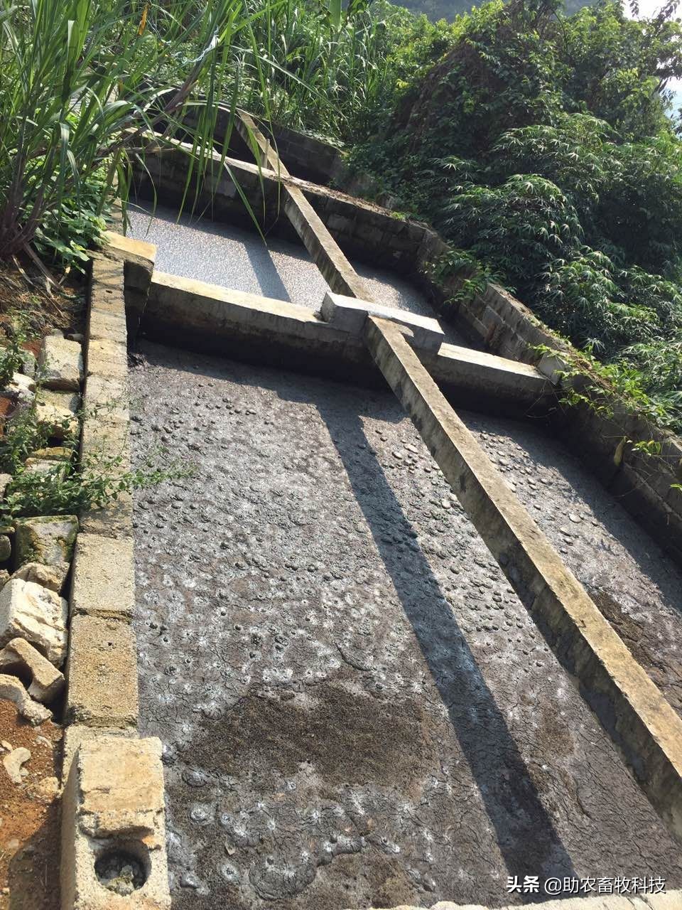沼液快速发酵除臭变成液态有机肥技术，每立方处理成本1元左右