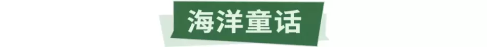 “超级飞侠-丛林大冒险”空降盘龙大观园,你要的快乐都在这儿
