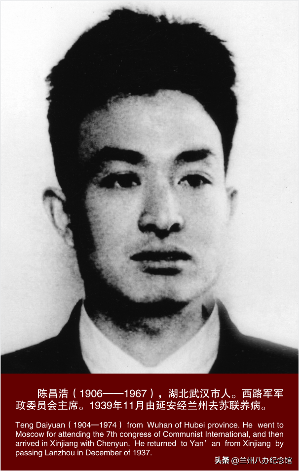 在线观展 