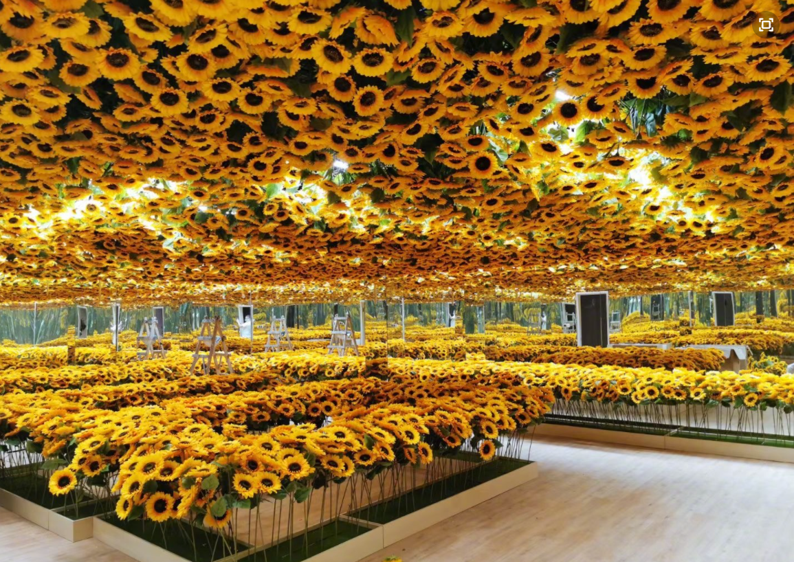 章子怡晒出游照，全家抱团取暖，继女小苹果坐中间家庭地位提升