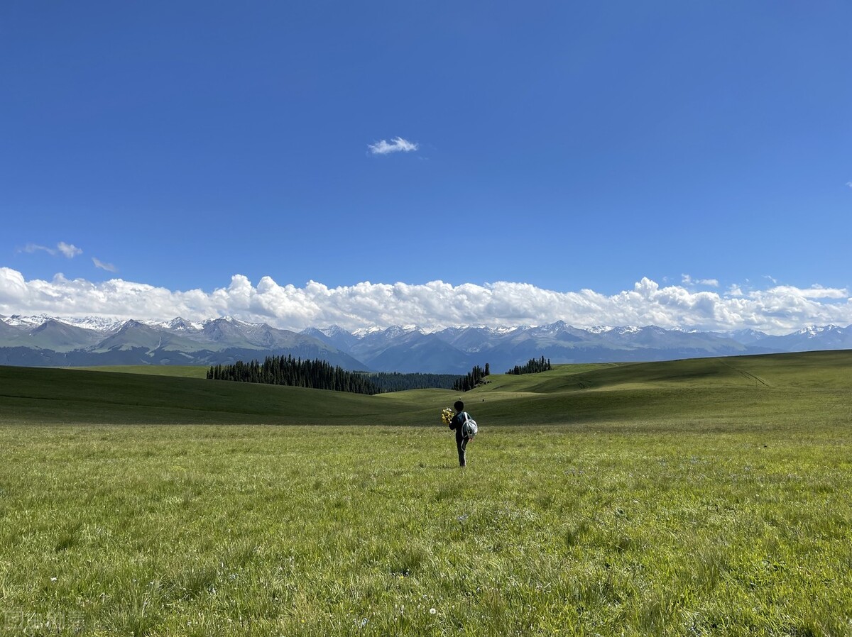 那些自媒体大V不会告诉你的流量真相