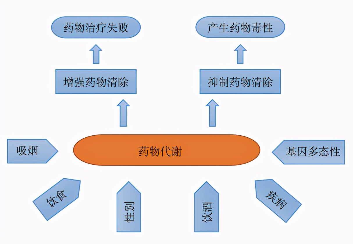 黄种人平均智商比其他人种高？看看我们的专属优势，不比白种人差