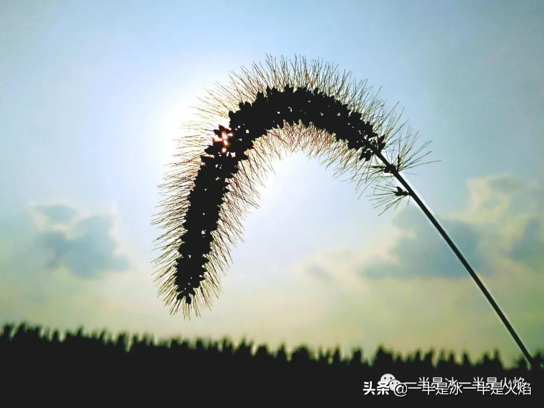 随笔：可不，貌似什么都一晃似的