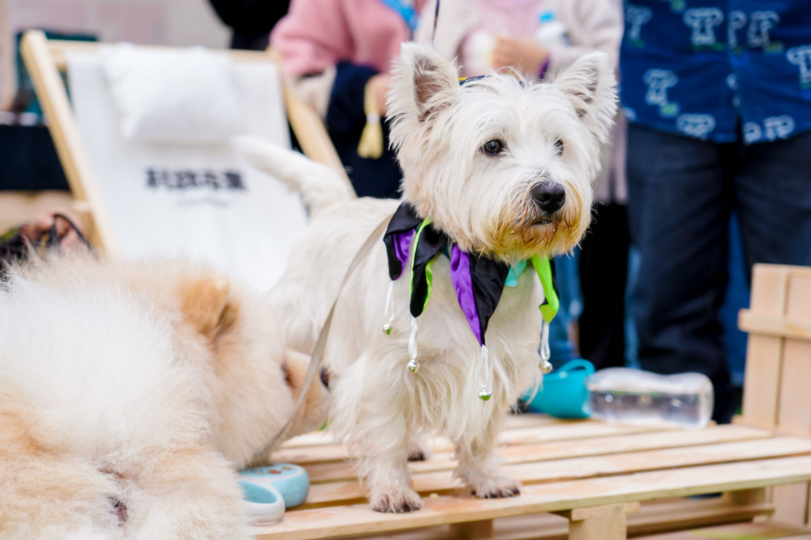 首届利物市集亮相源著天街 精致氛围治愈都市周末
