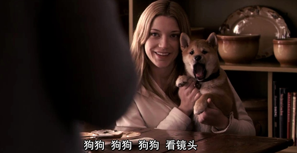 豆瓣催泪高分电影，看完《忠犬八公的故事》，想养只秋田犬
