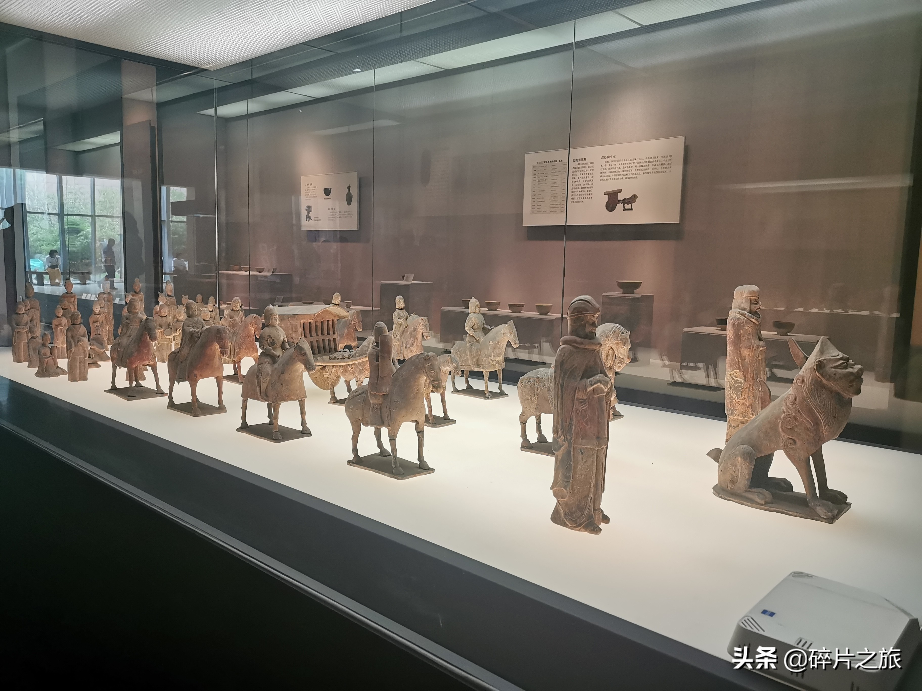 从一个洛阳博物馆看一座城,千年古都文明变迁的探索