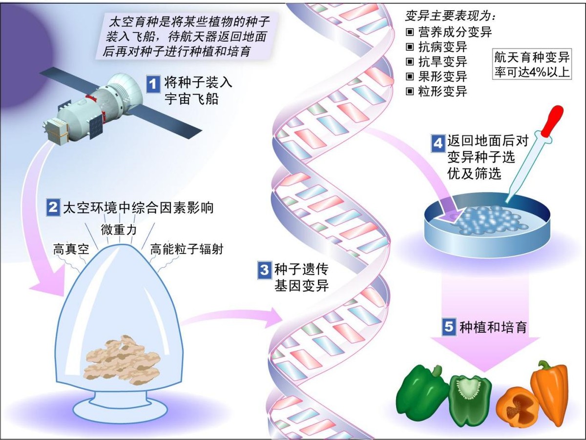 核心舱和长征5号领先世界，到底有多牛？建设空间站有什么用？