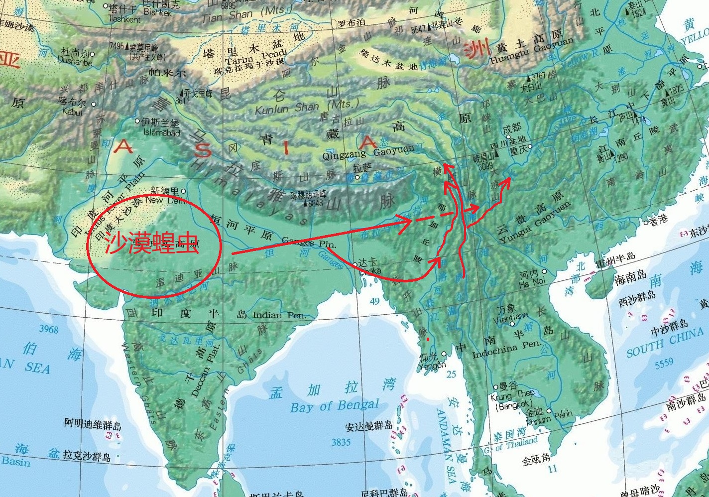如果“沙漠蝗虫”想要进入我国，新疆、西藏和云南地区是主要方向