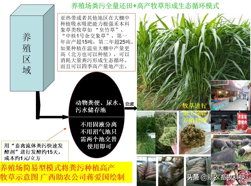 今后只有三種豬場(chǎng)（自有散養(yǎng)豬場(chǎng)）是可以長(zhǎng)期保持穩(wěn)定盈利的