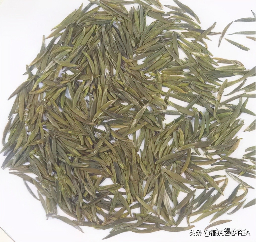 茶百科 | 中國茶葉分類大綱（收藏版）