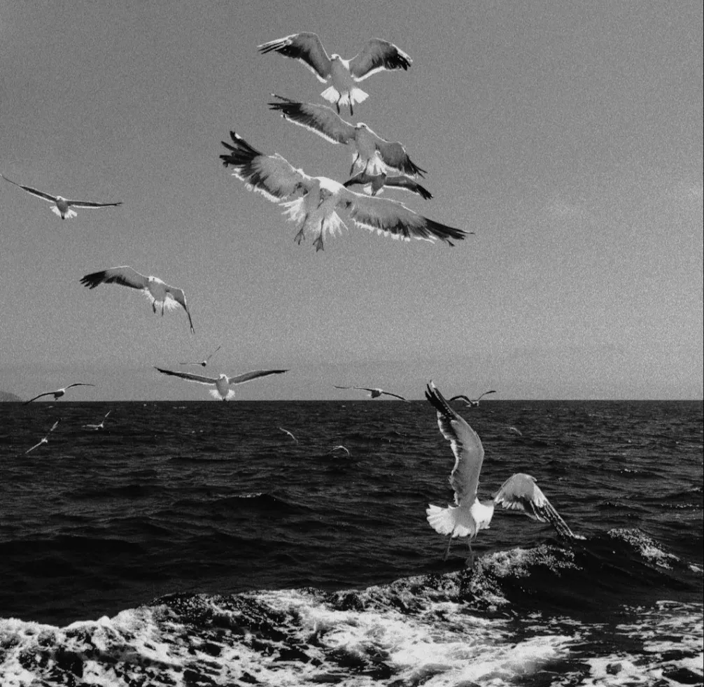 唯美高级背景图片朋友圈高级配图