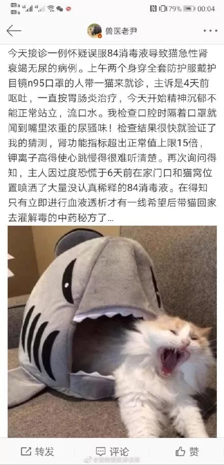 【寵物宅設計情報分享】寵物宅家指南發生疫情家有寵物不可怕，無知才要命
