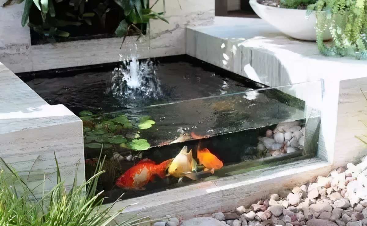 花园只有造个锦鲤鱼池，才能堪称最美庭院