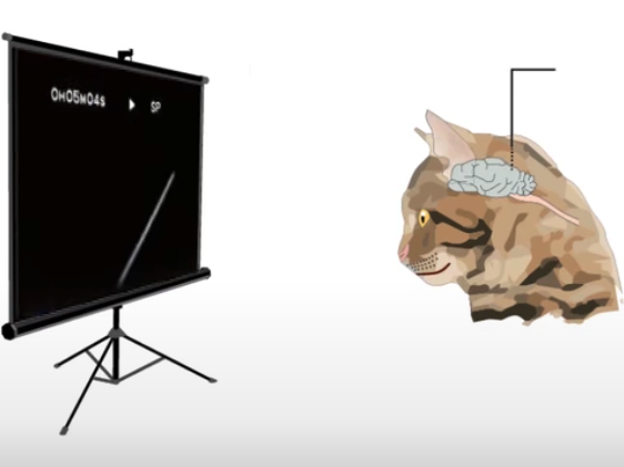 都是为了“让计算机变智能”，这两个派系却一斗 60 年