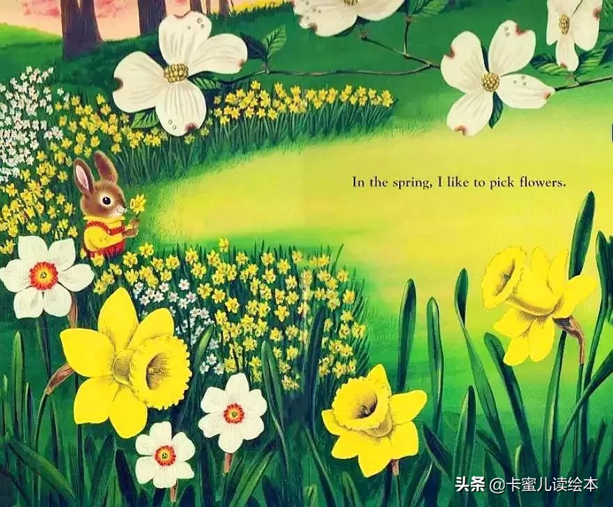 英文有声绘本《I am a bunny》我是一只小兔子
