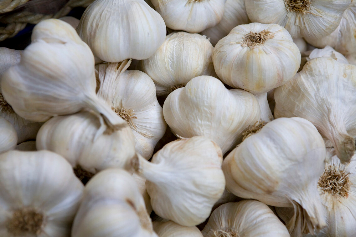 吃不完的大蒜，保存原来如此简单，给你支一招，不长芽不干瘪