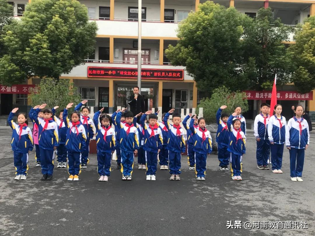 沁阳市第一小学举行新队员入队仪式活动(图5)