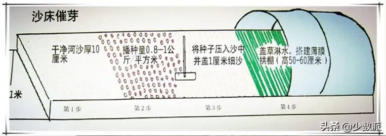 国产咖啡哪里的最好（国产好喝的咖啡品牌推荐）