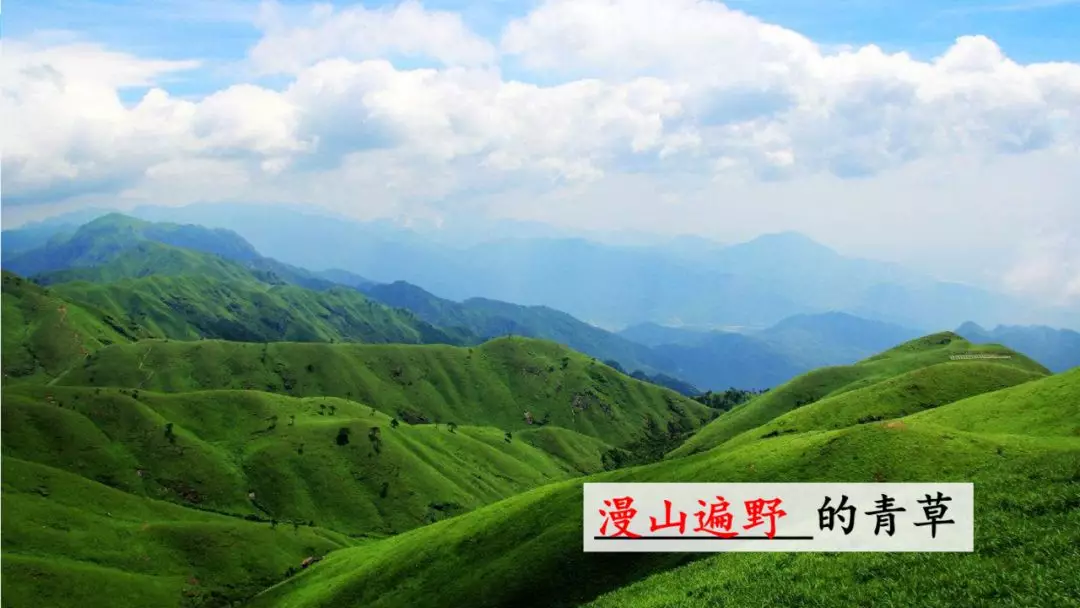 部编版三年级语文下册第二课《燕子》知识点及课堂测试题