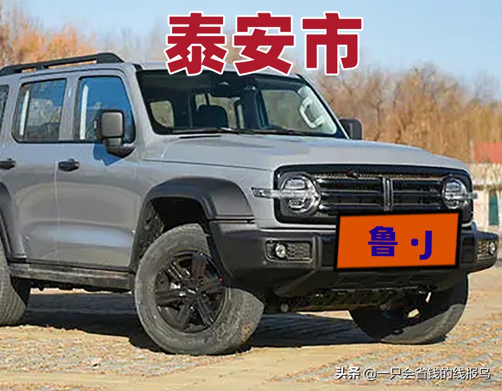 å±±ä¸œçœ�æ±½è½¦ç‰Œç…§æŒ‰ç…§å&shy;—æ¯�æ�’åº�