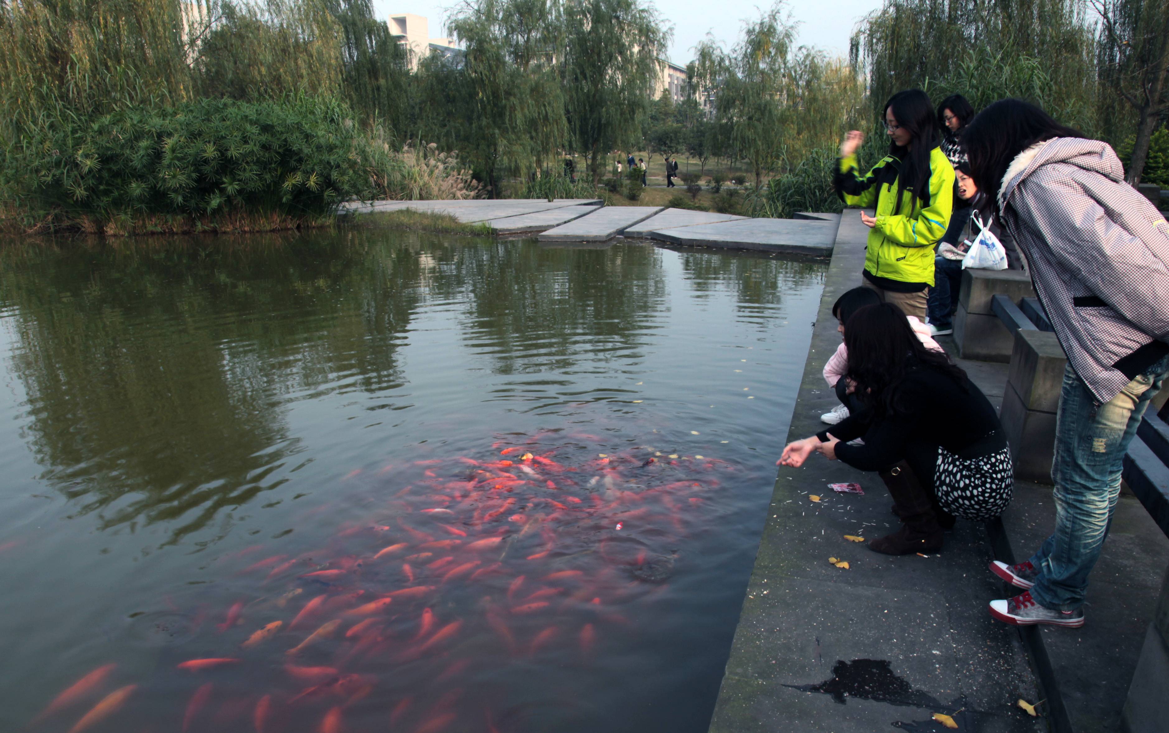 重慶理工大學(xué)值得去嗎 重慶理工大學(xué)實(shí)力如何(圖4)