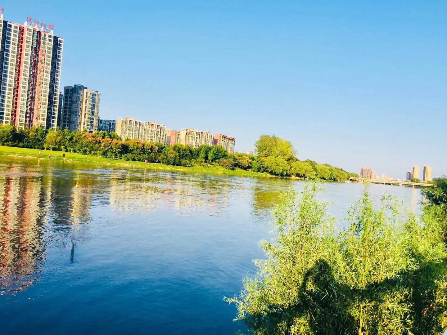 写作的过程就是写作者最自虐最痛苦的过程