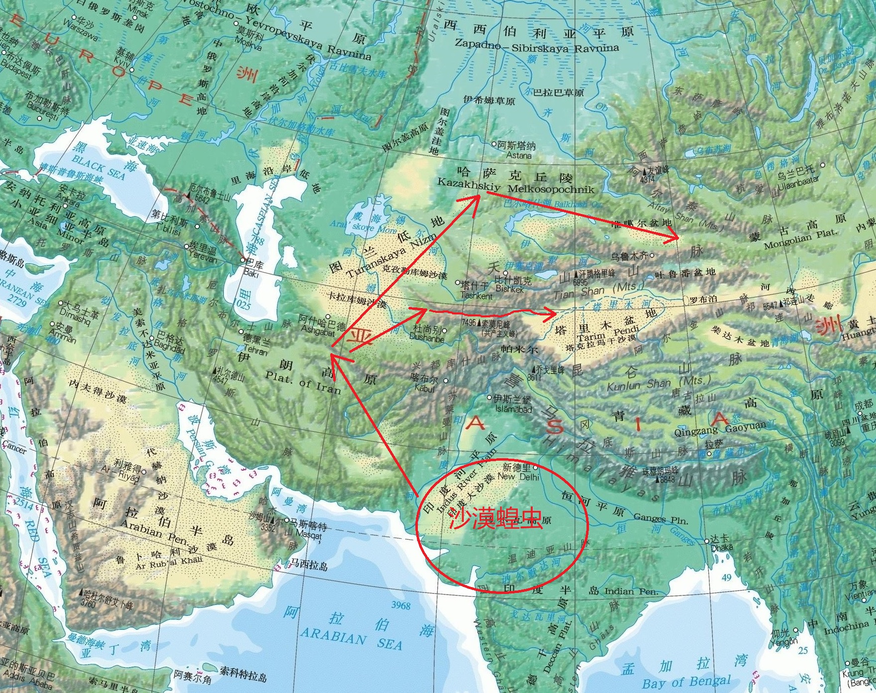 如果“沙漠蝗虫”想要进入我国，新疆、西藏和云南地区是主要方向