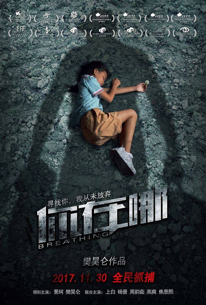 关于拐卖的电影关于拐卖儿童的电视剧或电影