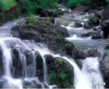 最后半个月!上海坐巴士直达莫干山!游玩攻略都齐了!快抓紧上车~