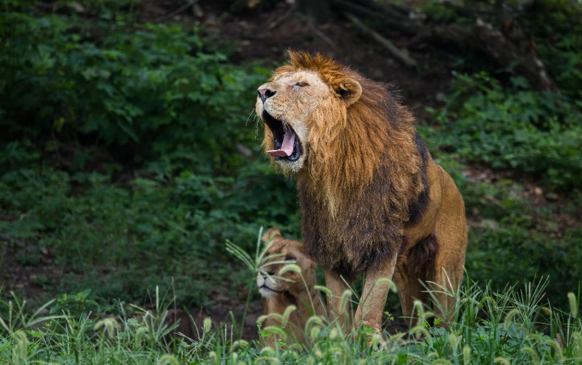 浙江宁波汉雅酒店清雅大床房标准间1间1晚住宿雅戈尔