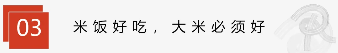 中式快餐直营门店全国第一,大米先生如何实现现炒优势?