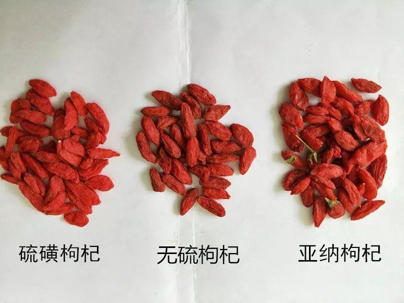 枸杞子，你吃红的还是黑的？泡水牢记“3没有要”，养分倍增喝得衰弱