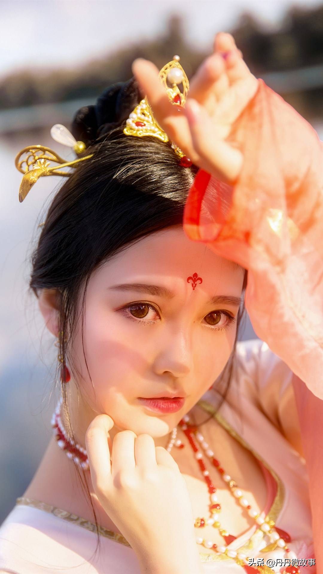 第二十七章主人的礼物（第七百四十七章惊喜）