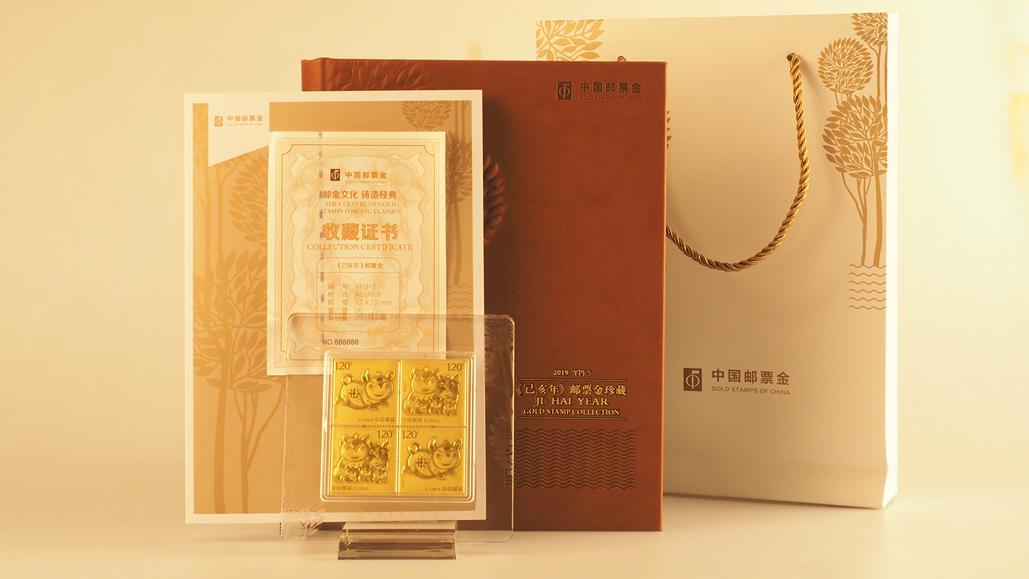 己亥年是什么生肖（乙亥年是什么生肖）