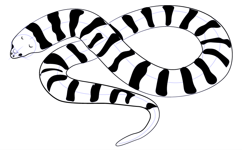 一口就能咬死成人！中国最毒的毒蛇，银环蛇有多恐怖？