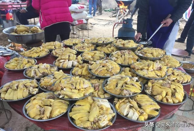 å…³äº�ä¸&shy;å›½å”¯ä¸€çƒ&shy;å¸¦çœ�â€œæµ·å�—â€�çš„20ä¸ªå†·çŸ¥è¯†ï¼Œä½ çŸ¥é�“å‡ ä¸ªï¼Ÿ