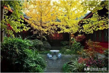 中式庭院里除了梅兰竹菊，还有这些寓意好的植物，你知道几个？
