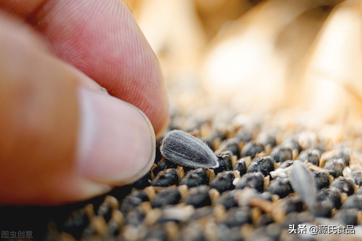花生油、橄榄油、葵花籽油、大豆油，原来差别这么大