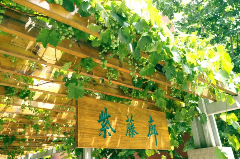 石家莊一中吧分享石家莊一中怎么樣(圖24)