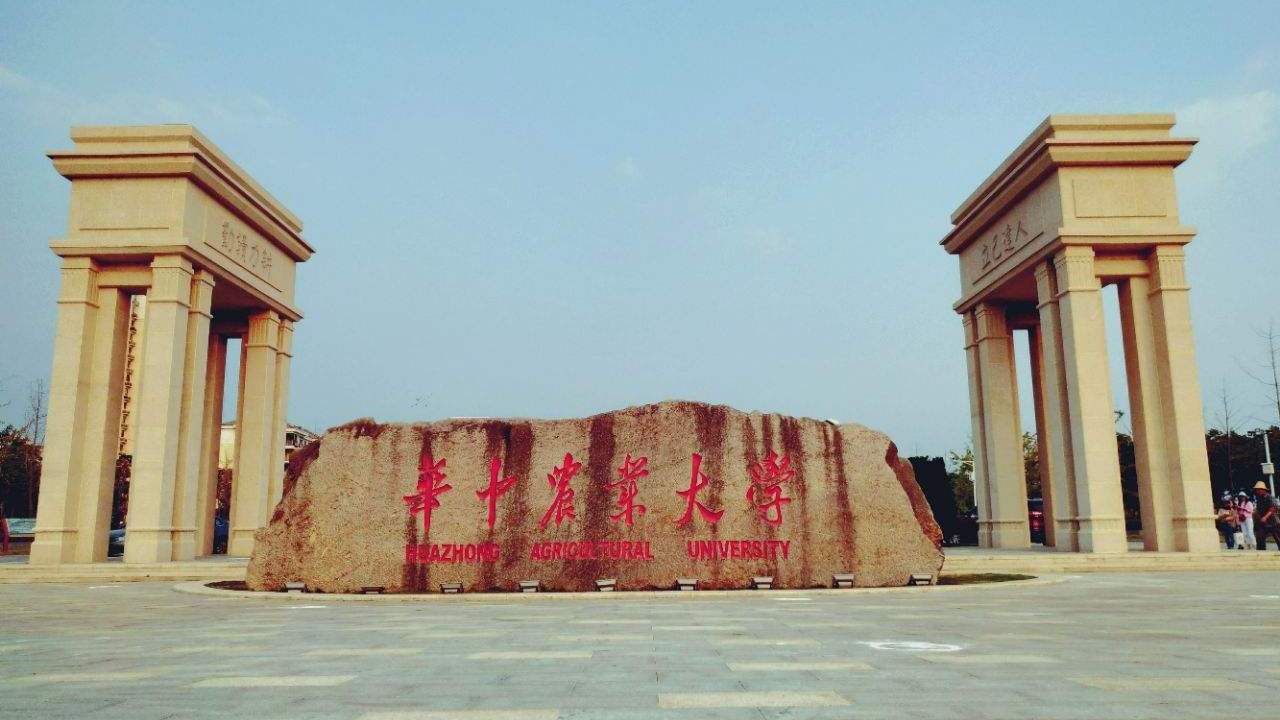 湖北最好的15所大学排名：武汉大学第二，华中师范大学第四