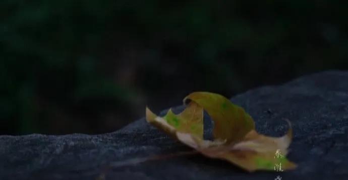 风清月朗夜阑珊，人间绝美自清欢