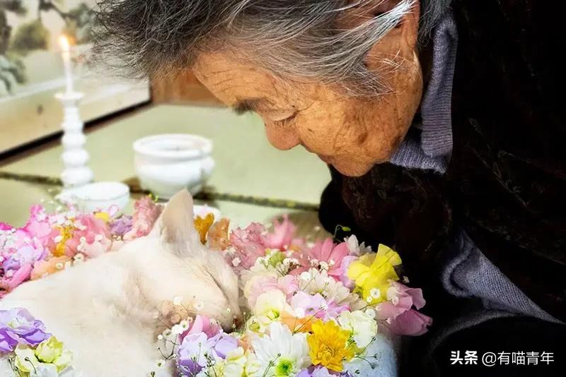 谢谢，福丸！再见，福丸